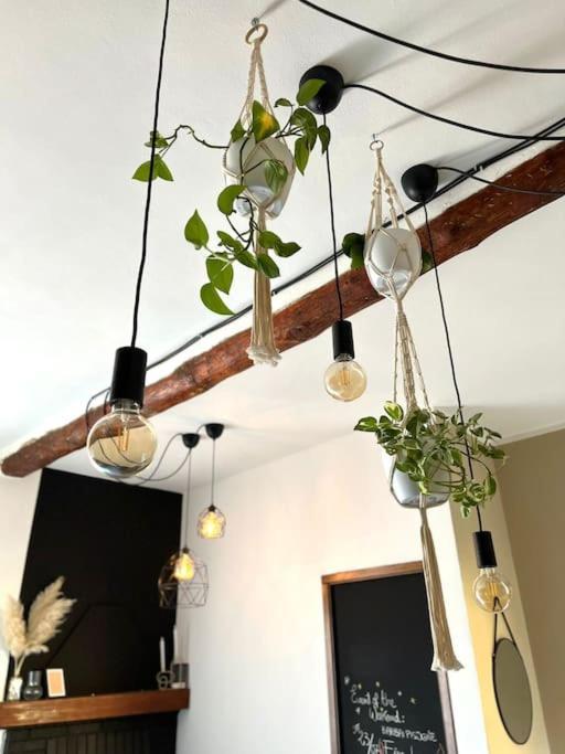 Ottanio Lake Apartment ปิโซเญ ภายนอก รูปภาพ